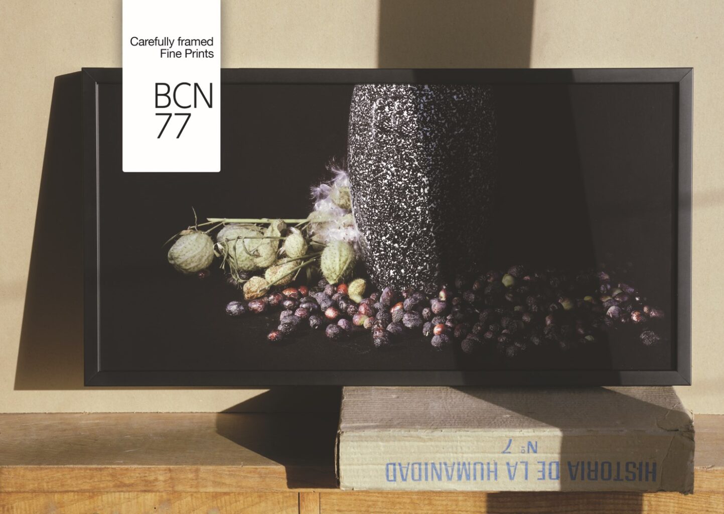 Natura Morta, Still Life, old_olives_Gomphocarpus_Moby_Dick_black_maniles_vase_modern_restaurant