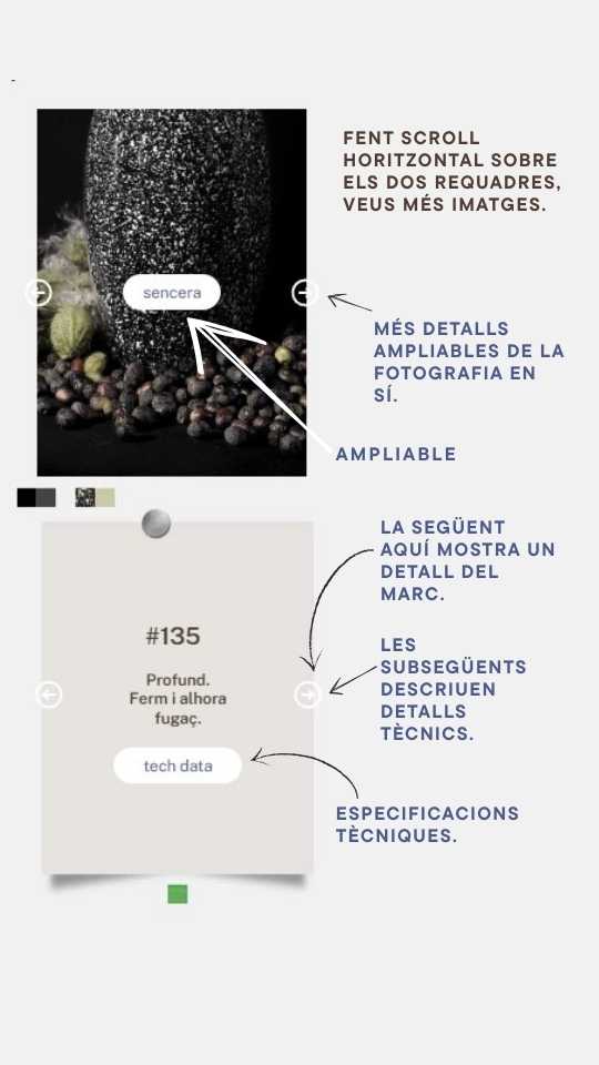 FAQS ajuda visual+TEXT