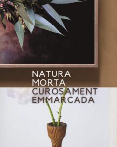 NATURA MORTA curosament emmarcada 540x675