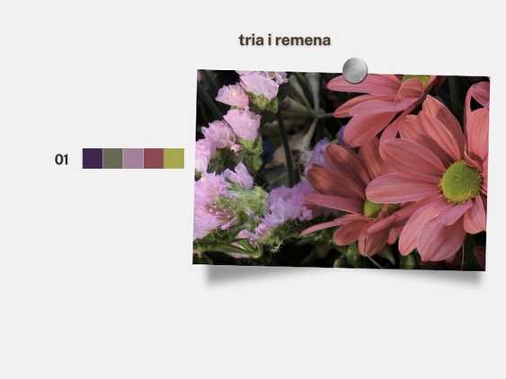 tria&remena 1,5 (2)